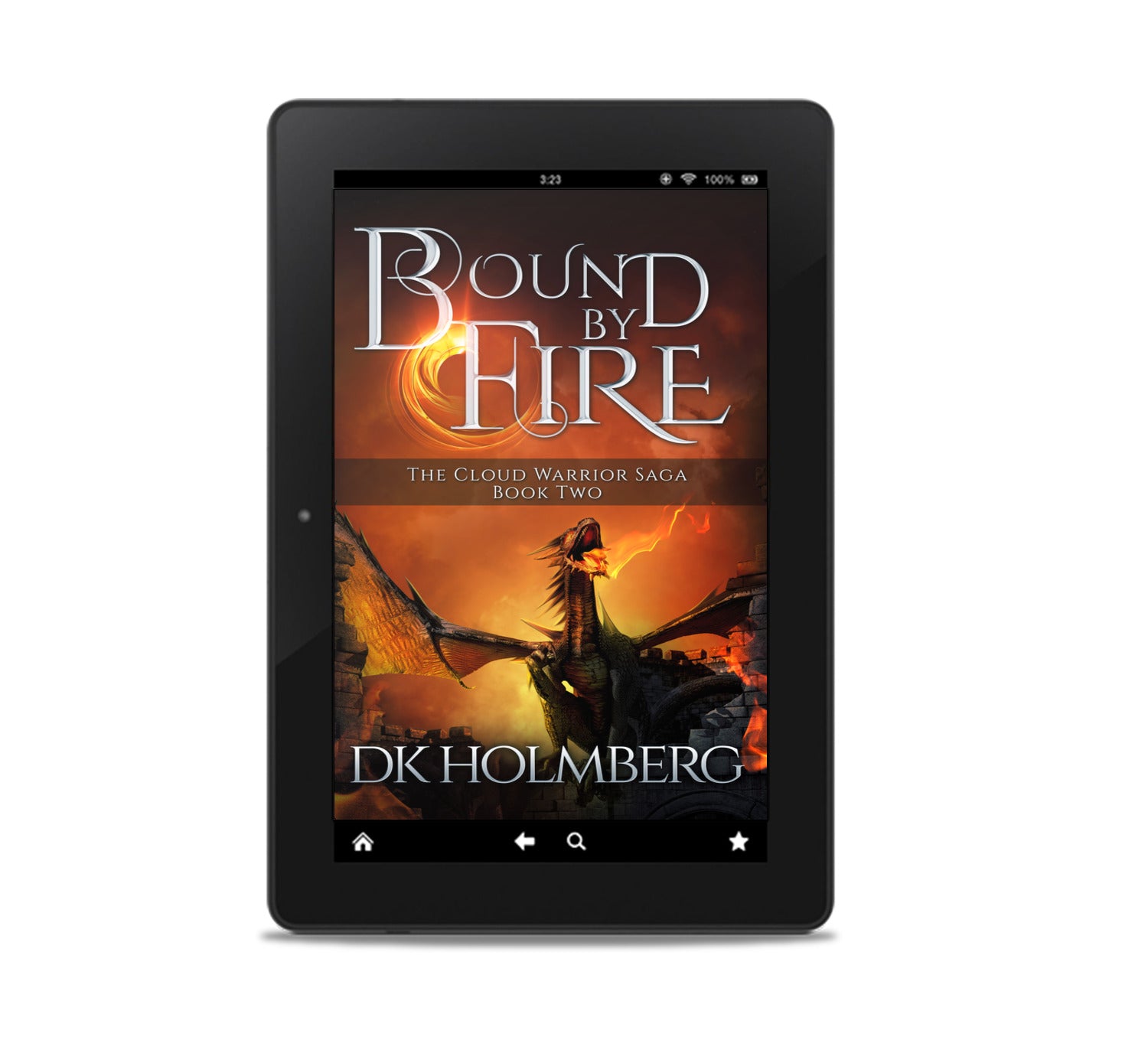 Bound by Fire, an epic fantasy novel with dragons.